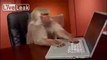 LiveLeak.com - When the wifi goes out...