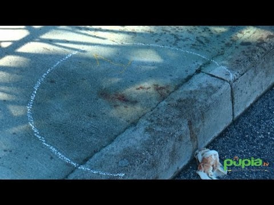 Ischitella (CE) - Moldava ferita con colpo di pistola alla testa: arrestato 75enne -live- (22.09.15)