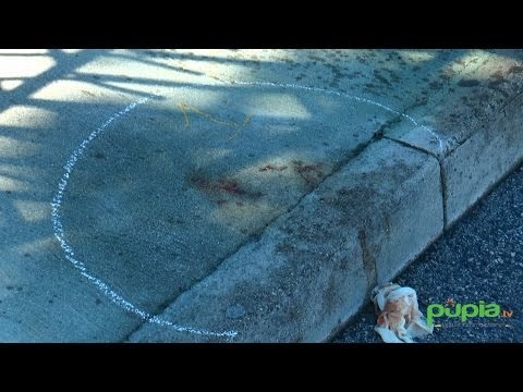 Ischitella (CE) - Moldava ferita con colpo di pistola alla testa: arrestato 75enne -live- (22.09.15)