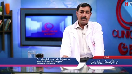 Qurbani Kay Janwar Ki Kharidari - Clinic Online - HTV