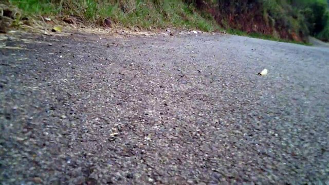 Cicismo rural em Taubaté, SP, Brasil, Trilhas nas estradas vicinais