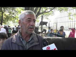 Qytetarët vërshojnë tregun e kafshëve për të blerë kurbane