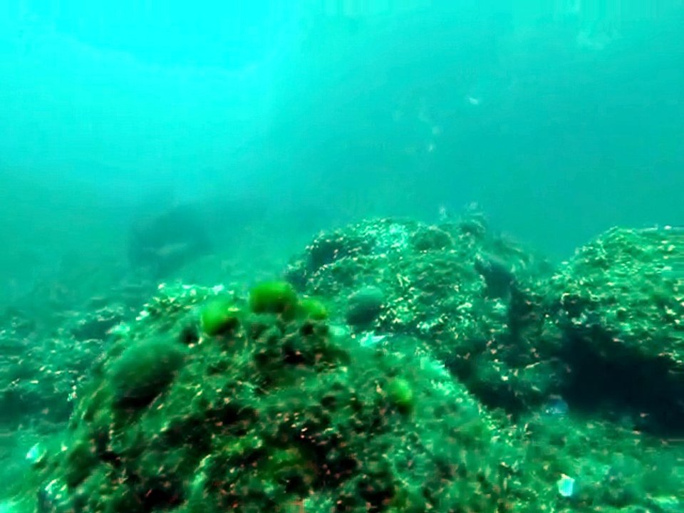 pataplouf - Marseille 2015