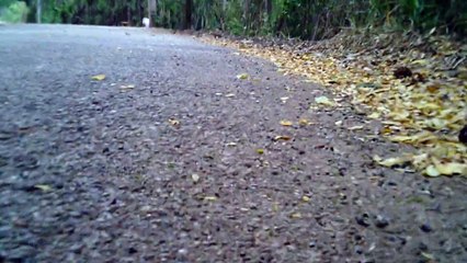 Cicismo rural em Taubaté, SP, Brasil, Trilhas nas estradas vicinais