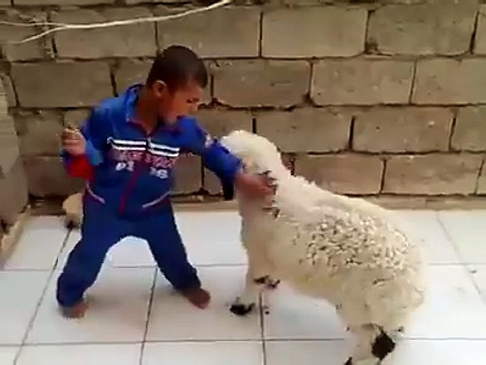 What You Say About It