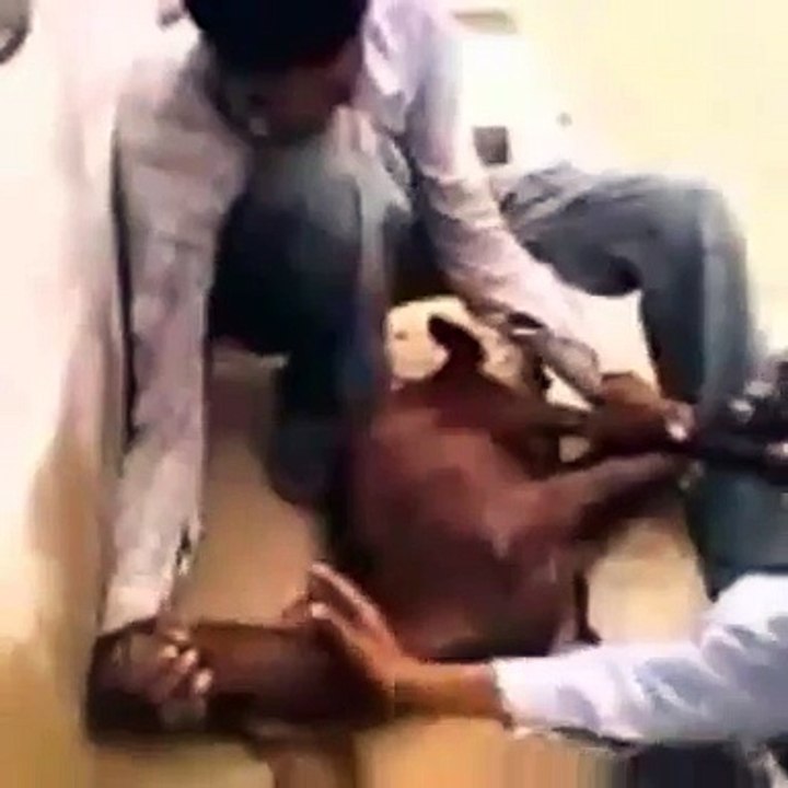 Eid Se Phele Bakre Ke Drame...