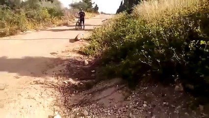 LiveLeak.com - Watch: 'Help! There's a crocodile wandering around my house'