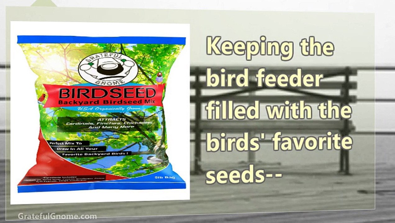 Bird Feeder Gifts For Elderly Loved Ones