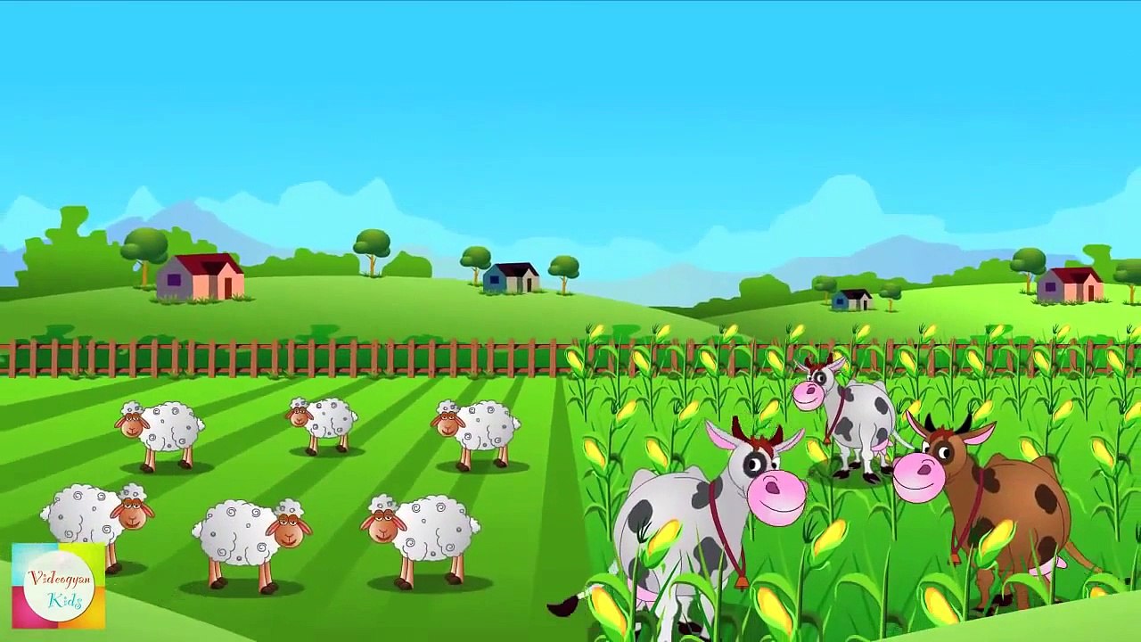 Little Boy Blue Nursery Rhymes   Cartoon Animation Songs For Children