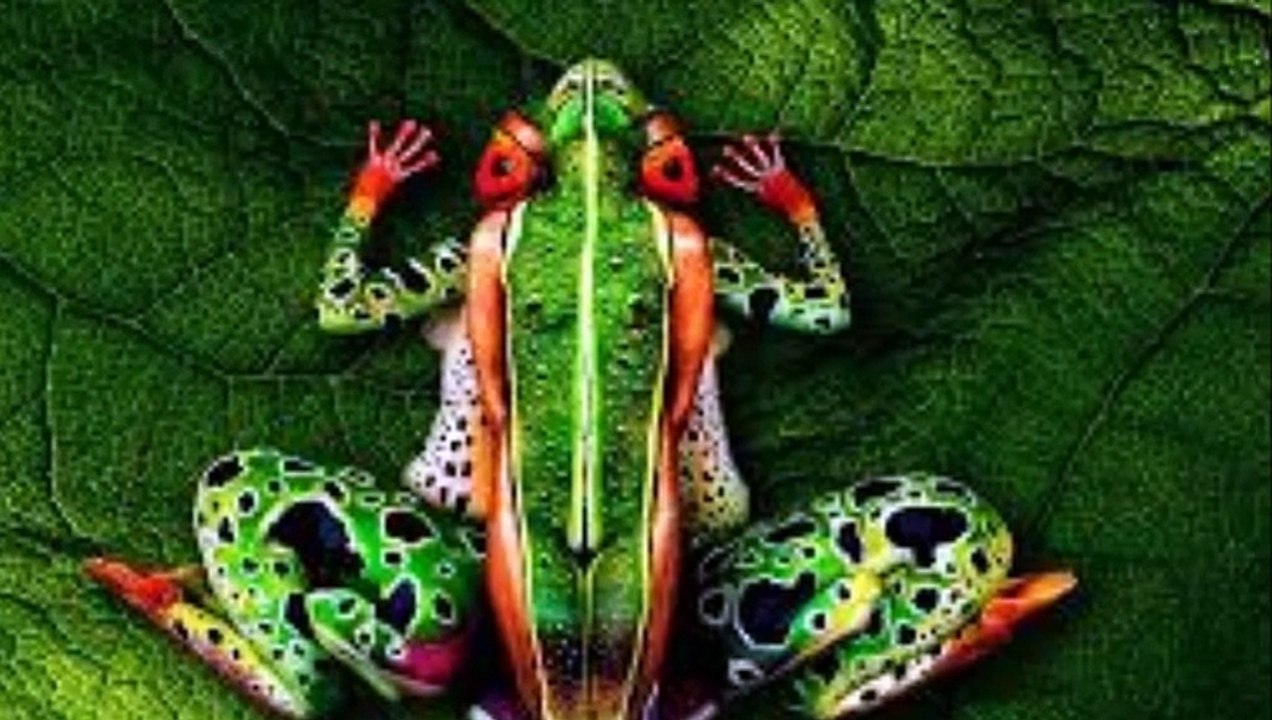 Unbaliveable human body painting