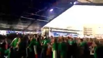 Irish fans in Cardiff go crazy for Japanese win against South Africa