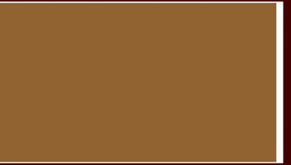 Amazing Chestnut Plush - Mascot costume by SPOTSOUND.CO.UK