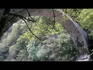Maziden Bir Yaprak Macit Babuç - Aşiklar Hep Sarilsun