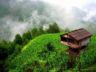 Maziden Bir Yaprak Mehmet Kumbasar - Hemşin Boyları