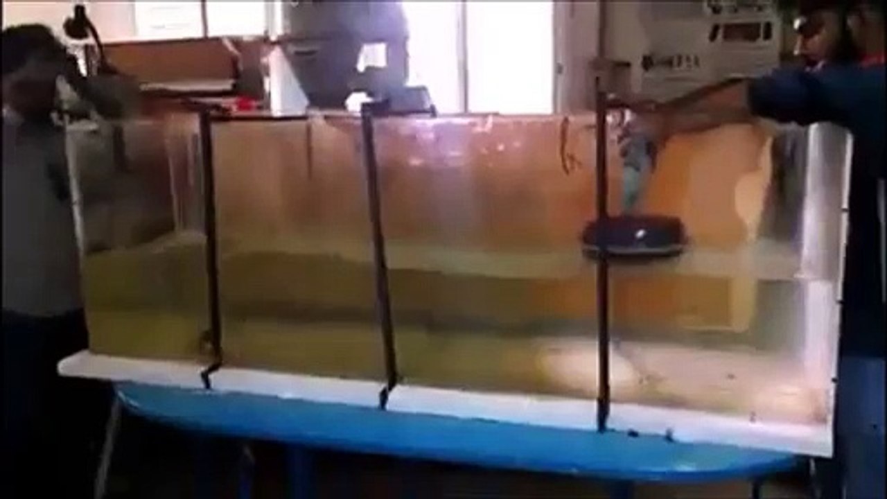 Random Testing of buoy clapper - Wave energy Converter