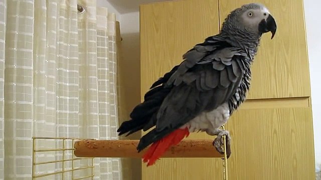 героям слава