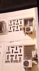 Kurbanlık Koyun 7. Kattan Düştü