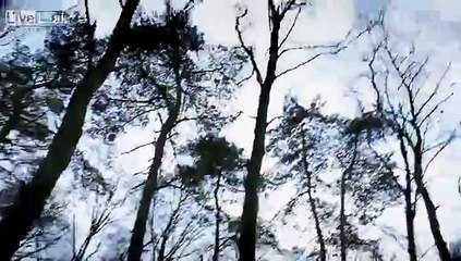 LiveLeak.com - Horrifying Short Clip