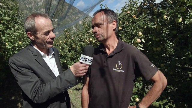 Alpes du Sud : C'est prouvé, les Alpes du Sud touchés de plein fouet par la confusion sexuelle