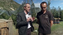 Alpes du Sud : Les arboriculteurs inquiets : Les exportations vis à vis de l'Algérie remises en cause