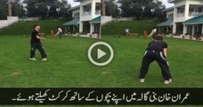 Arif Nizami's allegations are baseless- Imran Khan Plays Cricket with Reham Khan And His Family at Bani Gaala [ 9-23-2015] Latest Video