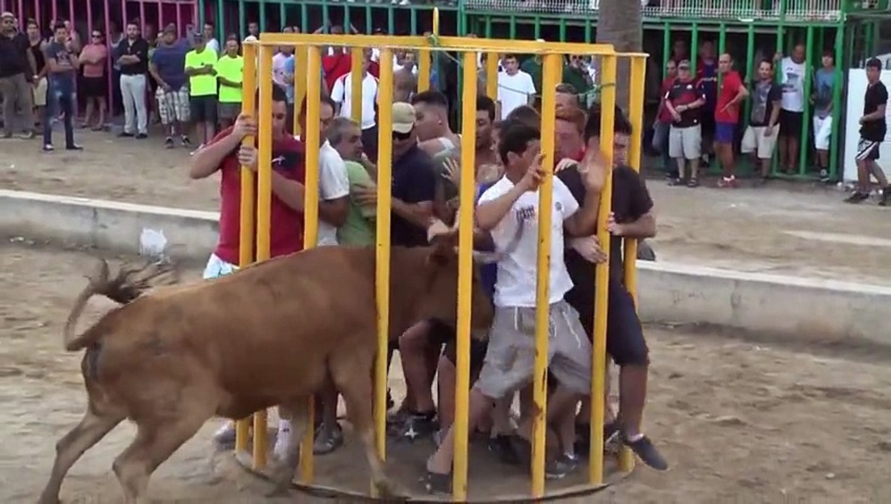 bull attacks on boys in cage