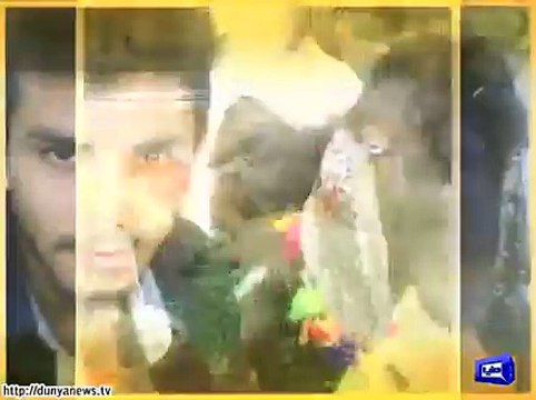 Watch selfies of owners with their cattle.