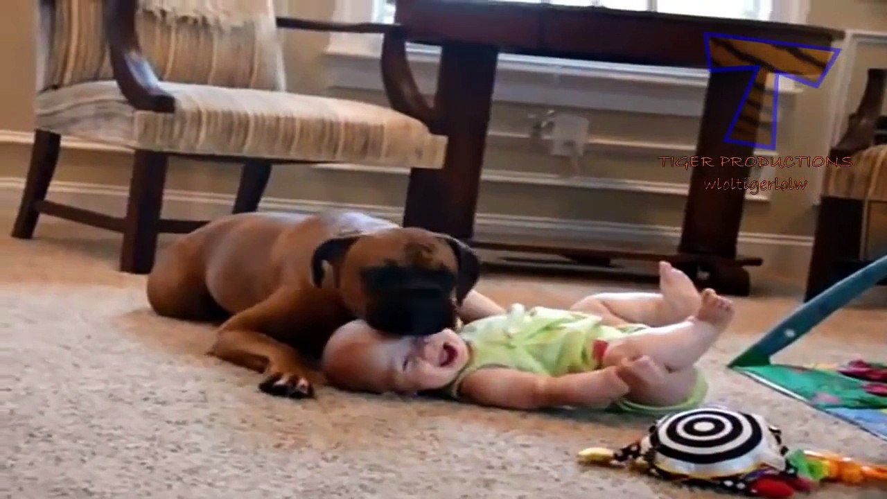 Dogs are great babysitters and nannies - Cute dog & baby compilation