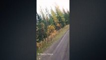 Guy Waits 35 Years to Spot Cougar Then Hits it With Pepperspay