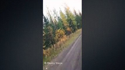Guy Waits 35 Years to Spot Cougar Then Hits it With Pepperspay