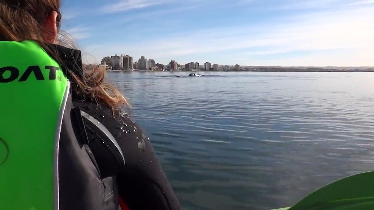 Une baleine soulève leur kayak !