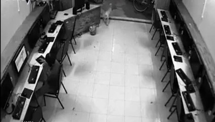 Instant Karma For Dog Abuser