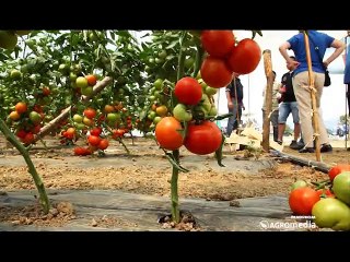 SVET POLJOPRIVREDE_411_01.08.2015.