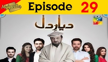 Diyar E Dil Episode 29 Promo on HUM TV