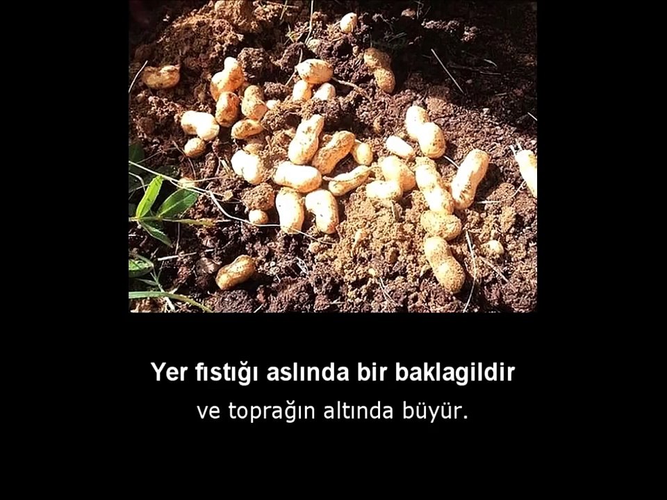 Sizi Şaşırtacak 20 İlginç Bilimsel Gerçek