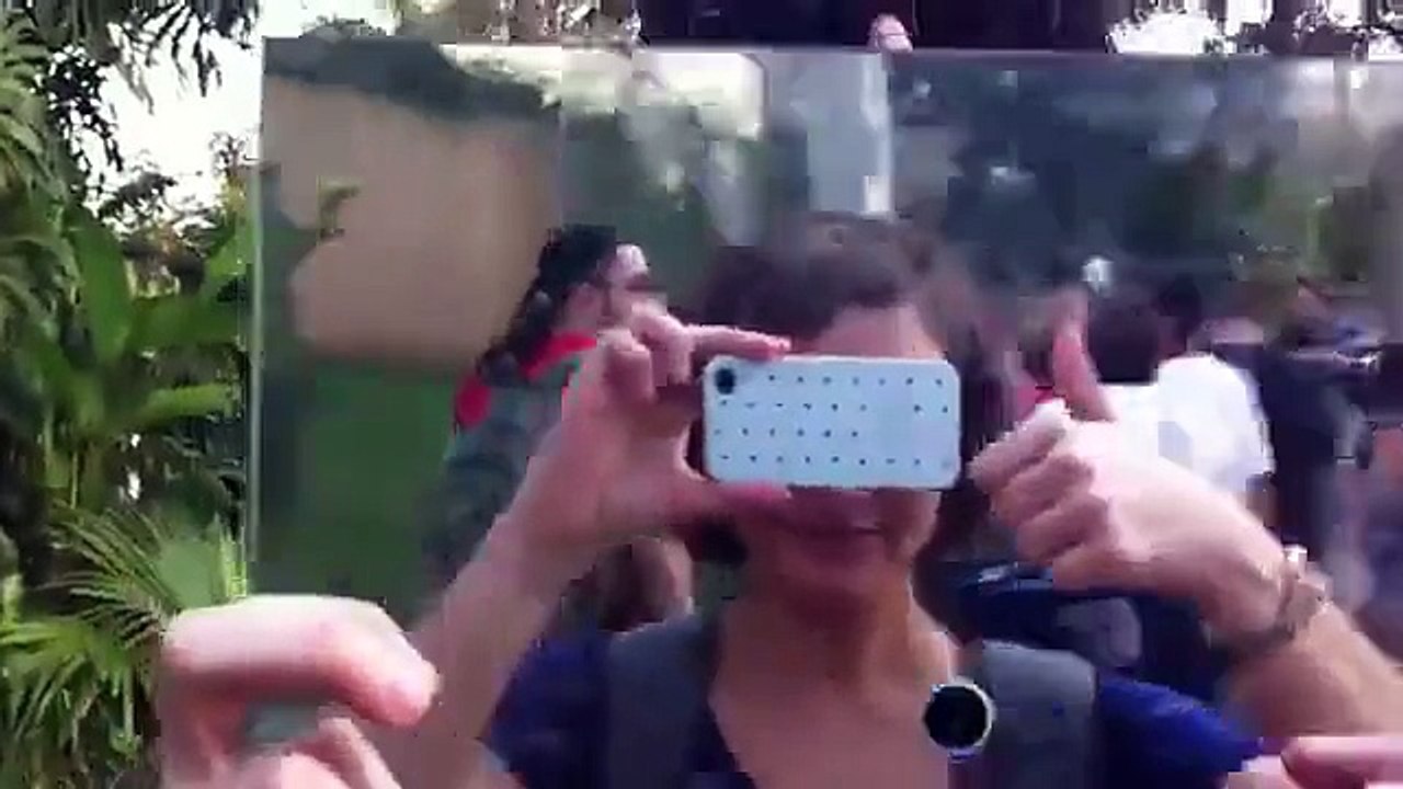 FUNNY VIDEO_How To Entertain Chimps At The Zoo - Video
