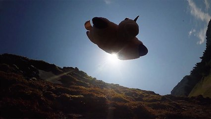 The Flying Unicorn | The First Ever Unicorn to Wingsuit Without...