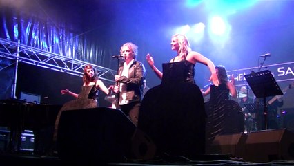 Michel chante Sardou - Les villes de solitude