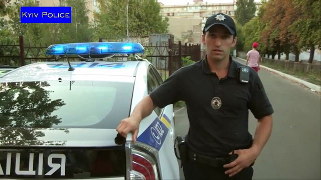 Дневные бабочки Киева и Патрульная полиция Киева