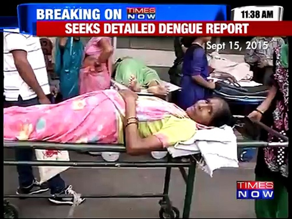 HC seeks detailed dengue report