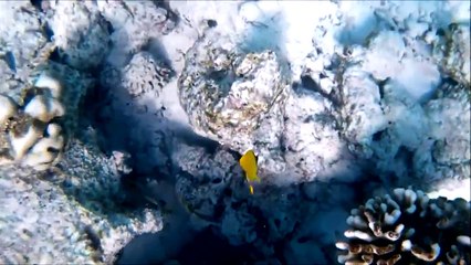 Adaaran club Rannalhi . Maldives