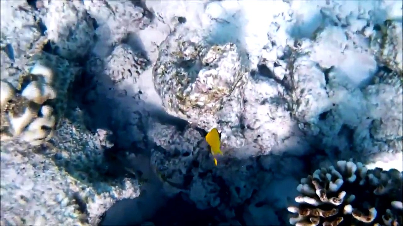 Adaaran club Rannalhi . Maldives