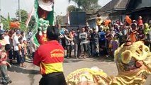 Ini Dia Atraksi Terhebat Barongsai Di Indonesia