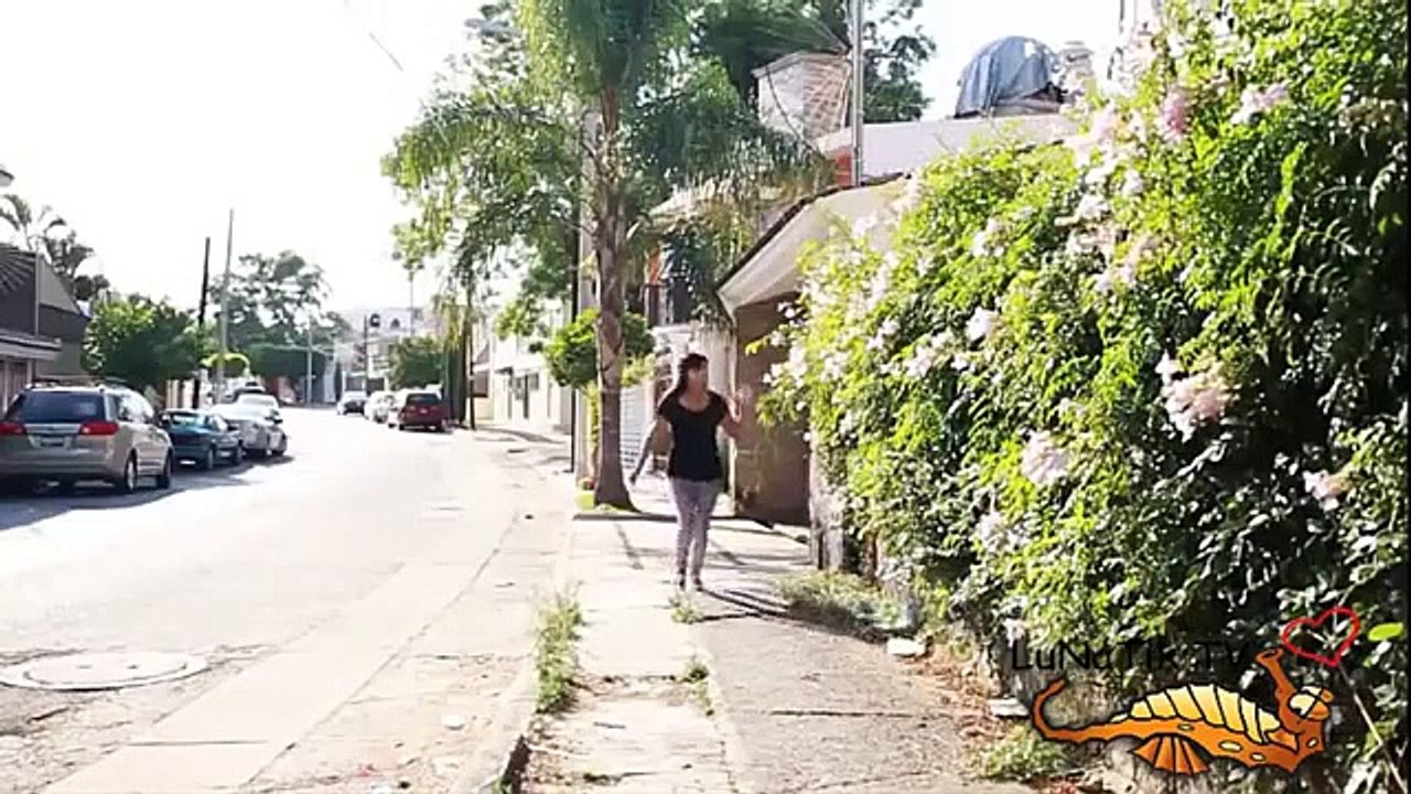 Epik gagal 2014 ekstrim lucu mencoba untuk tidak tertawa. gagal minggu ini 2015