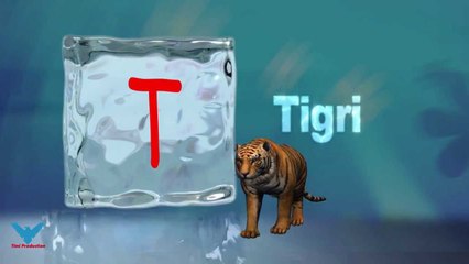 T Alfabeti Shqip shkronja T