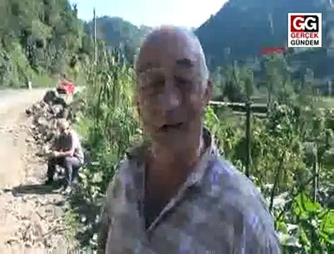 Kurbanlık boğa ortalığı birbirine kattı