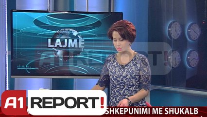 A1 Report - Edicioni i Lajmeve, 22 Mars 2014 - Albania News