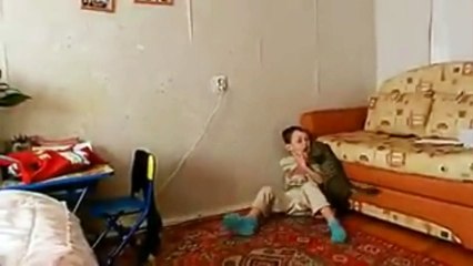 Cat Attacks Child in the Face and Encounters a Snake