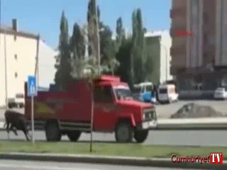 Vicdansızlar! Amatör kamera böyle kaydetti