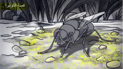 قصة الكوليرا .. بشرح مبسط